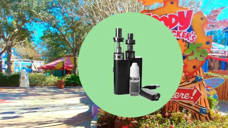 can-you-bring-a-vape-into-universal-studios-parktourist